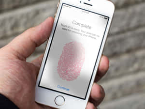 手拿iPhone顯示Touch ID設定完成，附有指紋圖形。 — 手機鎖定螢幕 壁紙