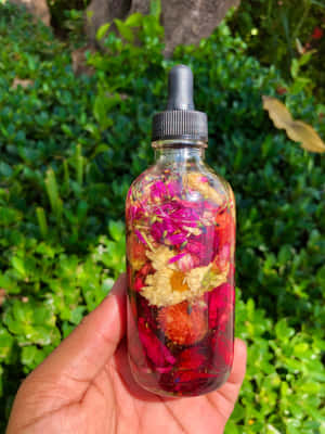 手在花園中拿著一個裝有乾花的玻璃瓶。 — Galaxy Z TriFold 壁紙