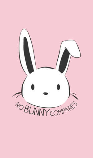 可愛的卡通兔子，粉紅色背景上寫著 no bunny compares — 兔子 壁紙