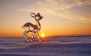 雪地中的水晶鹿雕像，夕陽 — 16:10 壁紙