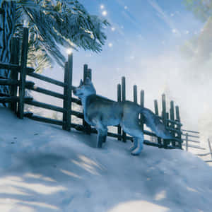 銀狼站在雪地冬季森林的木柵欄旁。