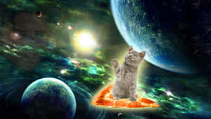 一隻灰色小貓坐在外太空的一片薄餅上，周圍有行星和星星。 — 奇怪 GIF 壁紙