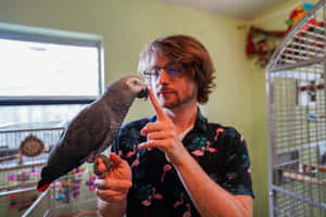 戴眼鏡和火烈鳥襯衫的男子，在鳥籠附近輕輕觸摸棲息在他手指上的灰色鸚鵡。