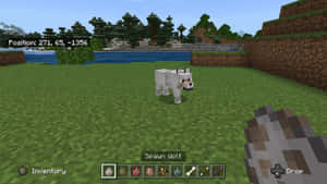 一隻白狼喺Minecraft遊戲世界入面，有草、水同樹木。 — 我的世界 壁紙