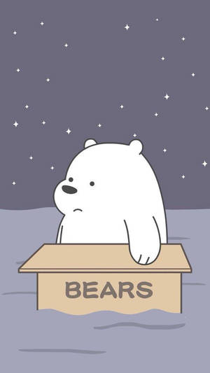 一隻悲傷的卡通熊坐在一個標有 BEARS 的箱子上，背景是星空。 — 可愛卡通 壁紙
