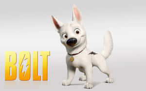 Bolt 背景 — 狗 壁紙