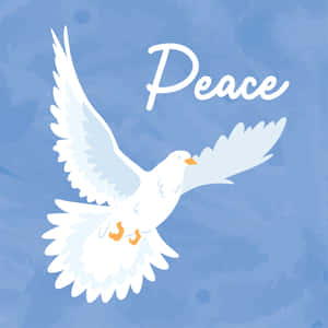 白鴿飛翔，帶有「Peace」字樣，背景為藍色紋理。 — iPad Pro 11 壁紙