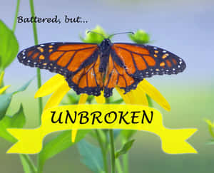 一朵黃花上的帝王蝶，帶有「UNBROKEN」橫幅。 — 5:4 壁紙