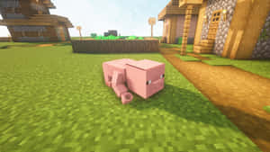 粉紅色Minecraft豬在草地上休息，旁邊有木屋。 — 型格 Minecraft 壁紙