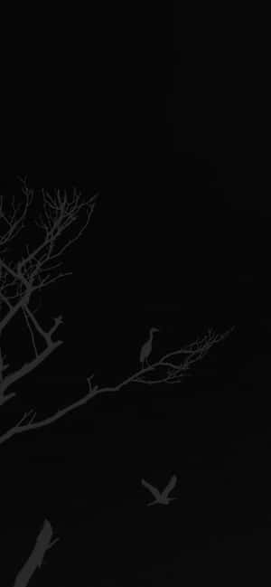 夜晚，一隻蒼鷺棲息在光禿禿的樹枝上，另一隻鳥在附近飛翔。 — 1179x2556 壁紙