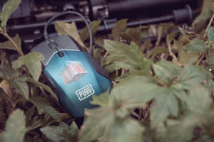 一隻藍色PUBG電競滑鼠藏在綠色植物中，後面有一把步槍。 — MacBook Pro 壁紙