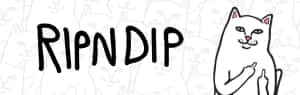 ripndip — 搞笑貓 壁紙