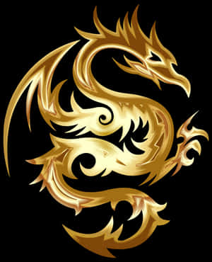金色龍，帶有火焰圖案，在黑色背景上以動態姿勢盤繞。