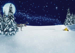 月光下雪地森林中的馴鹿與發光帳篷 — 美麗聖誕 壁紙