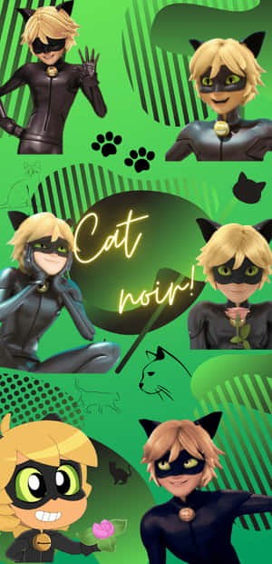 Cat Noir 動畫角色穿著黑色服裝，戴著貓耳和面具，在綠色背景上擺姿勢。