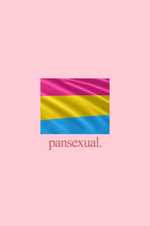 泛性戀旗，粉紅背景上有粉紅、黃、藍條紋及「pansexual」文字。 — 火影忍者海報 壁紙