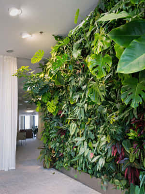 現代辦公空間中充滿活力的室內植物牆，種植熱帶植物。 — Galaxy Z TriFold 壁紙
