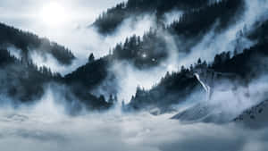 一頭狼站在白雪覆蓋的山頂上，周圍環繞著迷霧和松樹林。 — 狼 壁紙
