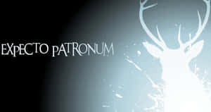 一頭發光的白色雄鹿護法，帶有文字Expecto Patronum，背景為藍色漸變。 — 黑暗森林 壁紙