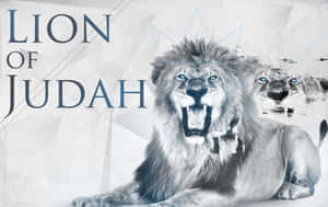 一頭咆哮的獅子，藍色眼睛，幾何設計背景，帶有文字Lion of Judah。 — 獅子王 GIF 壁紙