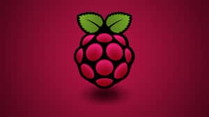 Raspberry Pi 標誌漂浮在洋紅色背景上 — Studio Display 壁紙