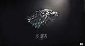 金屬冰原狼頭標誌，帶有'Winter is Coming Stark'文字，深色背景。