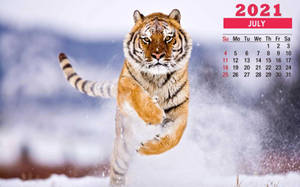 老虎在雪中跳躍，帶有2021年7月日曆覆蓋層