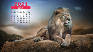 一隻獅子在岩石上休息，背景是2021年7月的日曆。