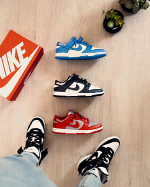 三對Nike Dunk運動鞋和一個人的腳穿著相配的鞋子，放在木地板上，旁邊有一個紅色盒子和盆栽多肉植物。