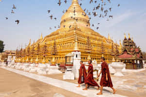 僧侶在金色佛教寺廟附近行走，鳥兒在頭頂飛翔。 — 唐人街 GIF 壁紙