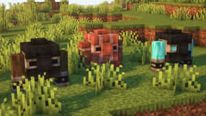 三個Minecraft村民在草地田野中，地形方塊狀。 — 最佳 Minecraft 壁紙