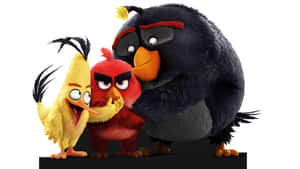 三個Angry Birds角色表情豐富地站在一起。 — 7680x4320 壁紙