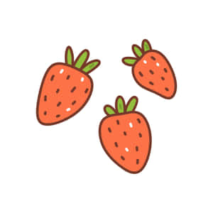 三個帶有綠色葉子和棕色輪廓的插圖草莓。 — 士多啤梨 壁紙