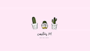 三個插圖風格的仙人掌放在幾何花盆中，附有文字cactus 101 don't be a prick — 仙人掌傑克 壁紙