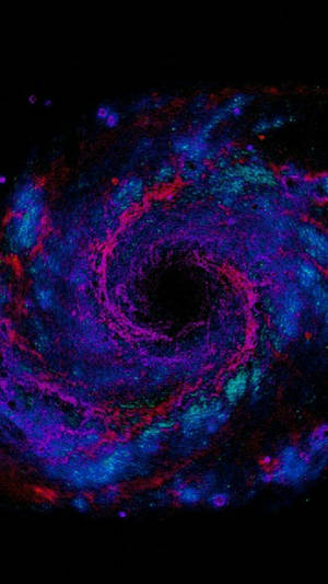 在黑色虛空中，紫色、藍色和洋紅色氣體旋轉的鮮豔宇宙星雲。