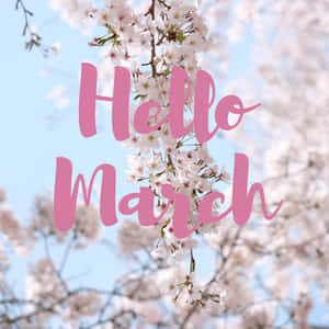 粉紅色「Hello March」文字在櫻花枝上，背景是藍天。