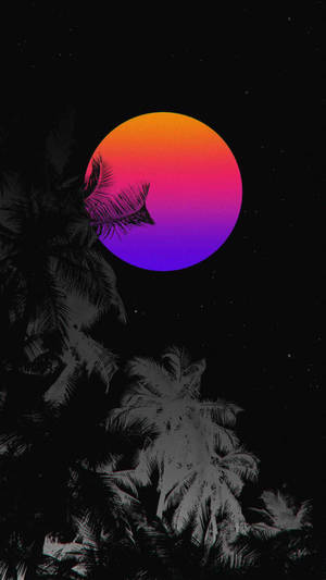 棕櫚樹剪影映襯著繁星點點夜空中色彩繽紛的漸變日落。