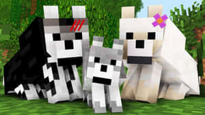 三隻方塊狀的Minecraft狗，顏色和配件各異，站在草地上。 — 我的世界 壁紙