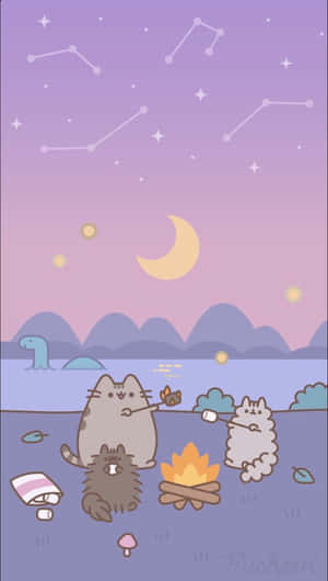 三隻貓咪在星空下的夜晚在營火旁烤棉花糖。 — 貓咪迷因 壁紙