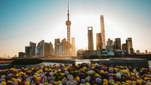 日落時分的上海天際線，前景是色彩繽紛的花園 — 唐人街 GIF 壁紙
