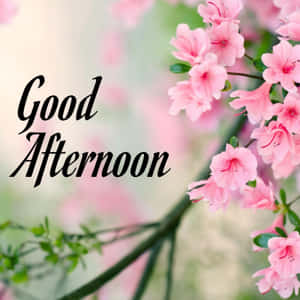 粉紅色杜鵑花與綠色莖幹，以及優雅手寫的「Good Afternoon」文字。