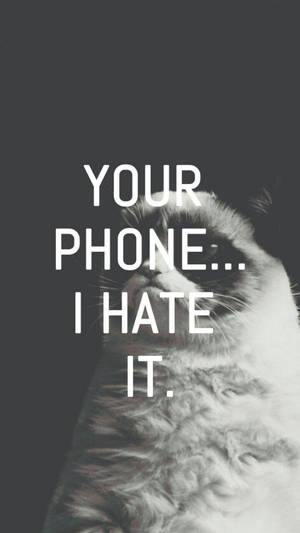 一隻帶有文字「YOUR PHONE... I HATE IT.」的脾氣暴躁的貓