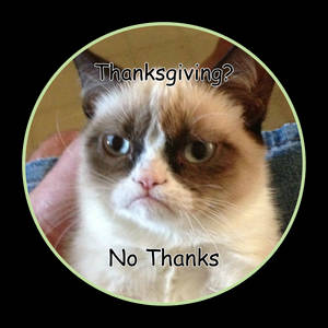 一隻帶有文字 Thanksgiving? No Thanks. 的悶悶不樂的貓。