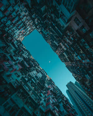 高聳的城市建築物在藍綠色天空下框住一彎新月。