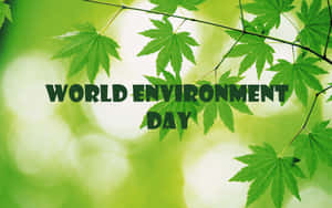帶有「World Environment Day」文字的綠色楓葉，用於提高環保意識。