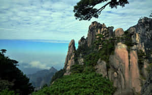 藍天下雲海之上有松樹的崎嶇山崖