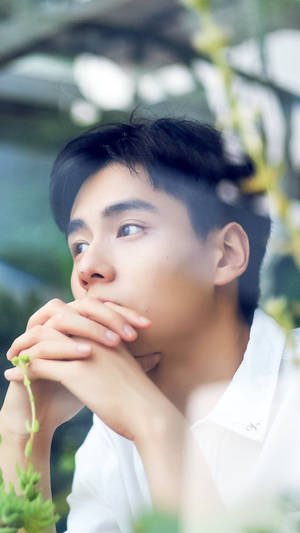 身穿白襯衫的年輕男子向上凝視，雙手靠近嘴唇，被綠意環繞。 — 胡桃 壁紙
