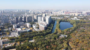 秋季城市、建築物、樹木和湖泊的鳥瞰圖。 — 唐人街 GIF 壁紙