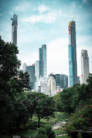 藍天下，高樓大廈前有樹木和人的綠色公園。