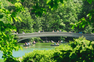 人們在陽光明媚的日子裡，在綠色公園的石橋下划船。